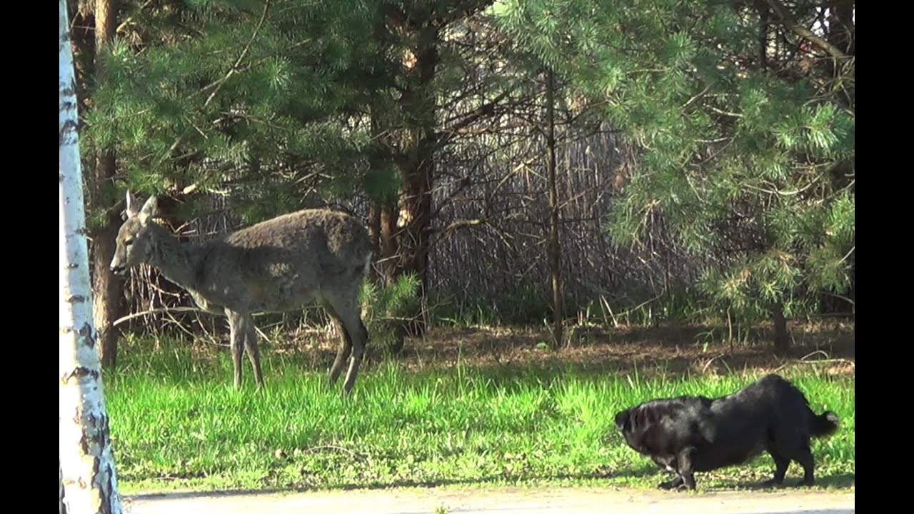 NERWOWY SĄSIAD MAJ 2021