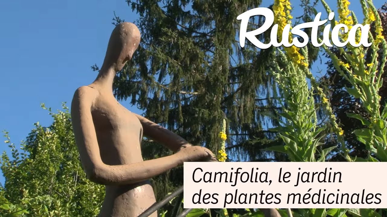 Jardin Camifolia, jardin de plantes medicinales