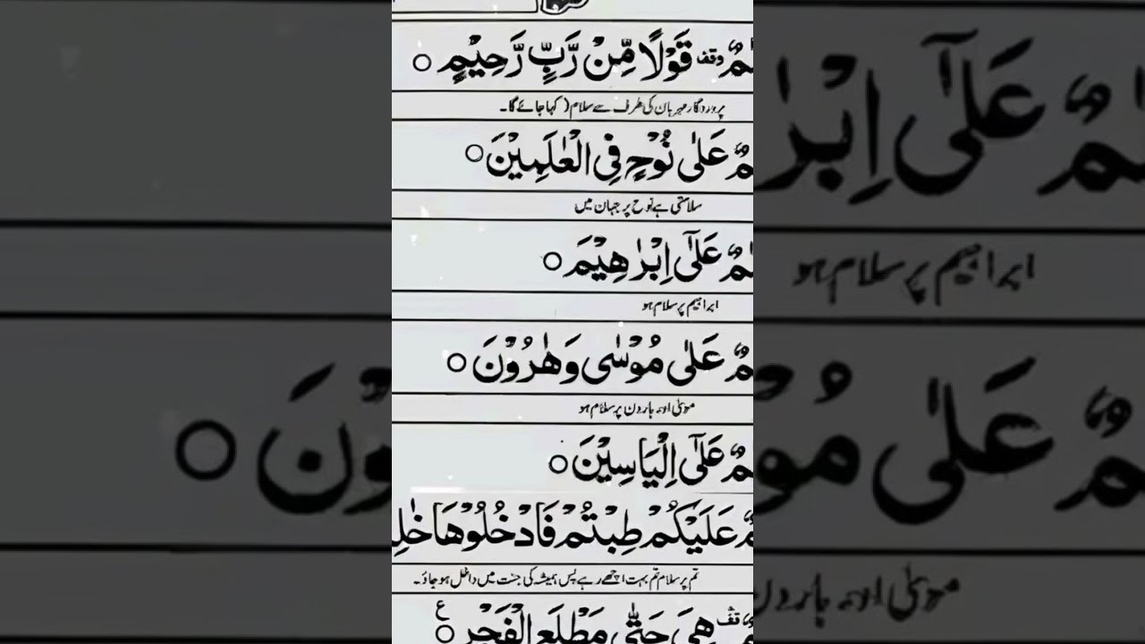 Noor Mentor 91 is live