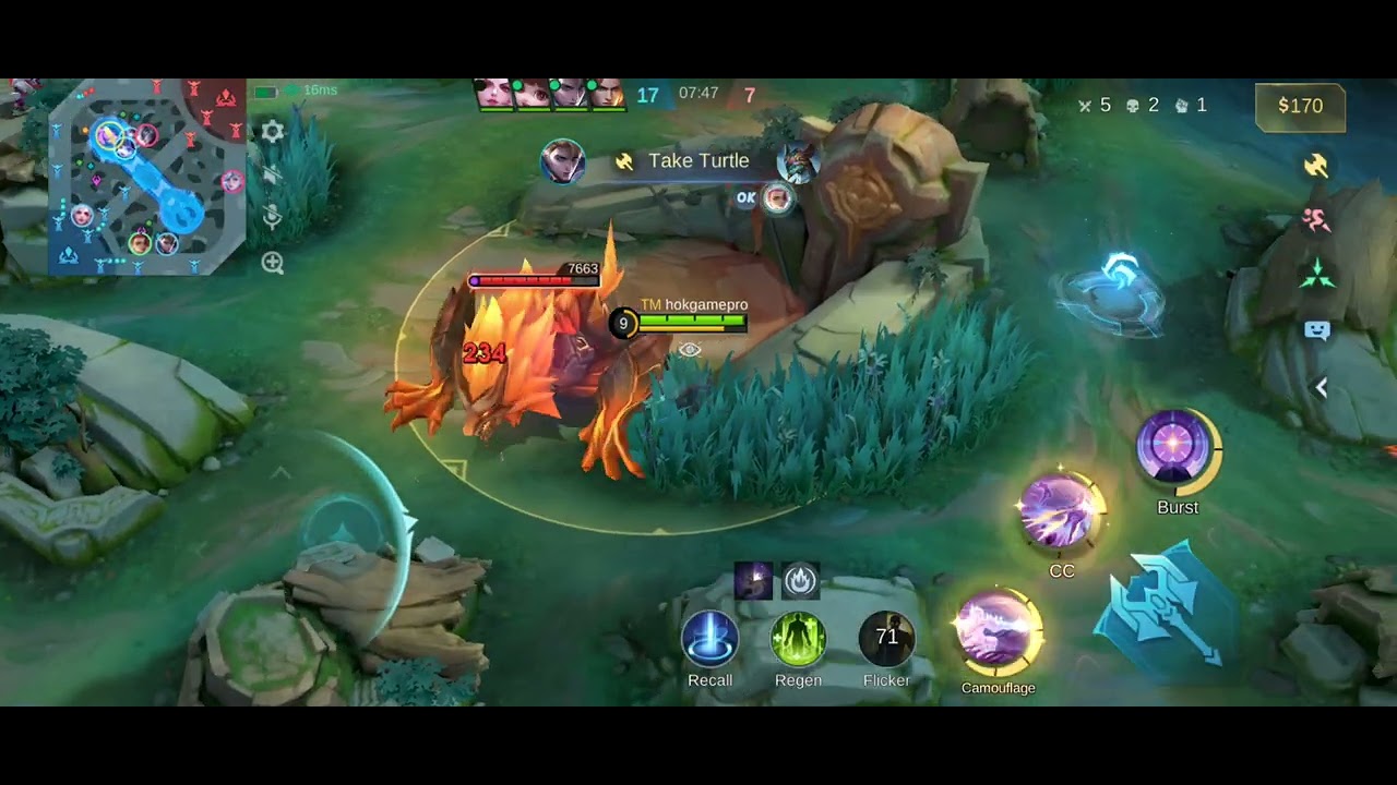 Main lesley