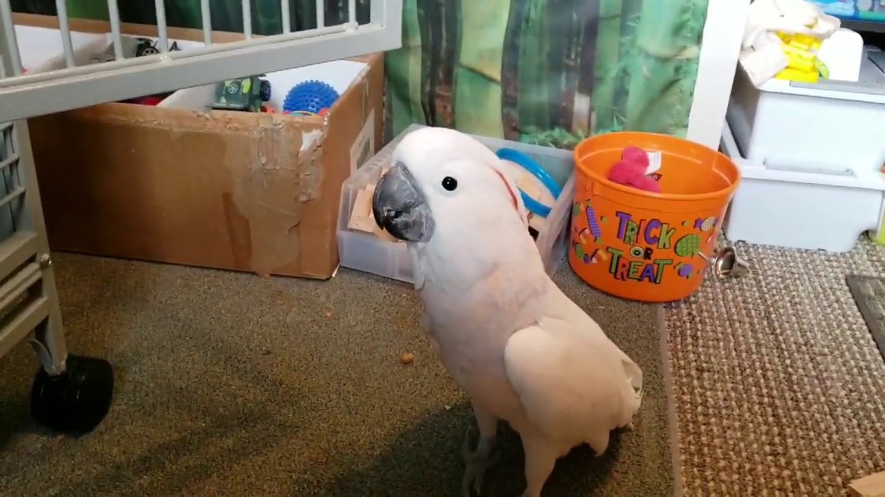 Max Gets Caught Kicking Up His Heels