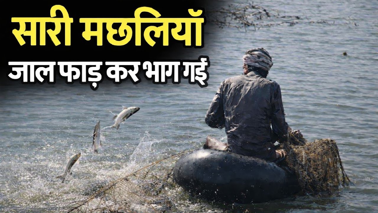 आज शुक्रवार को बहुत सारी मछलियाँ मिलीं लेकिन.......?सारी मछलियां जाल फाड़ कर भाग गई
