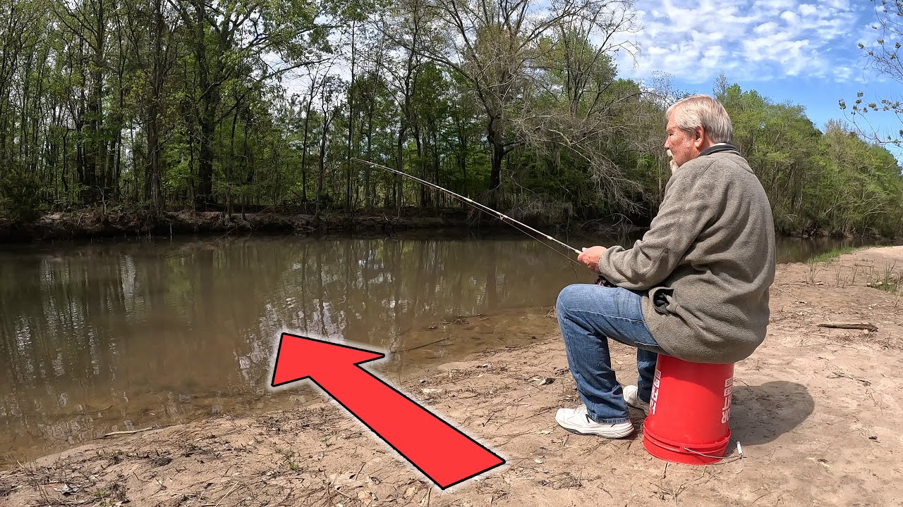 This is Why You Should Fish A BACKWATER CREEK!