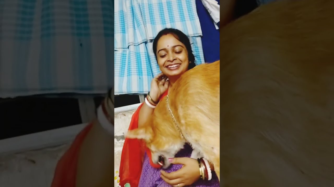 আমার সোনা বাবাকে নিয়ে সারাটা দিন আমার বেশ হাসি মজাতেই কেটে যায়। 😍🥰|| #vlog #dogvlog #youtubevlog 