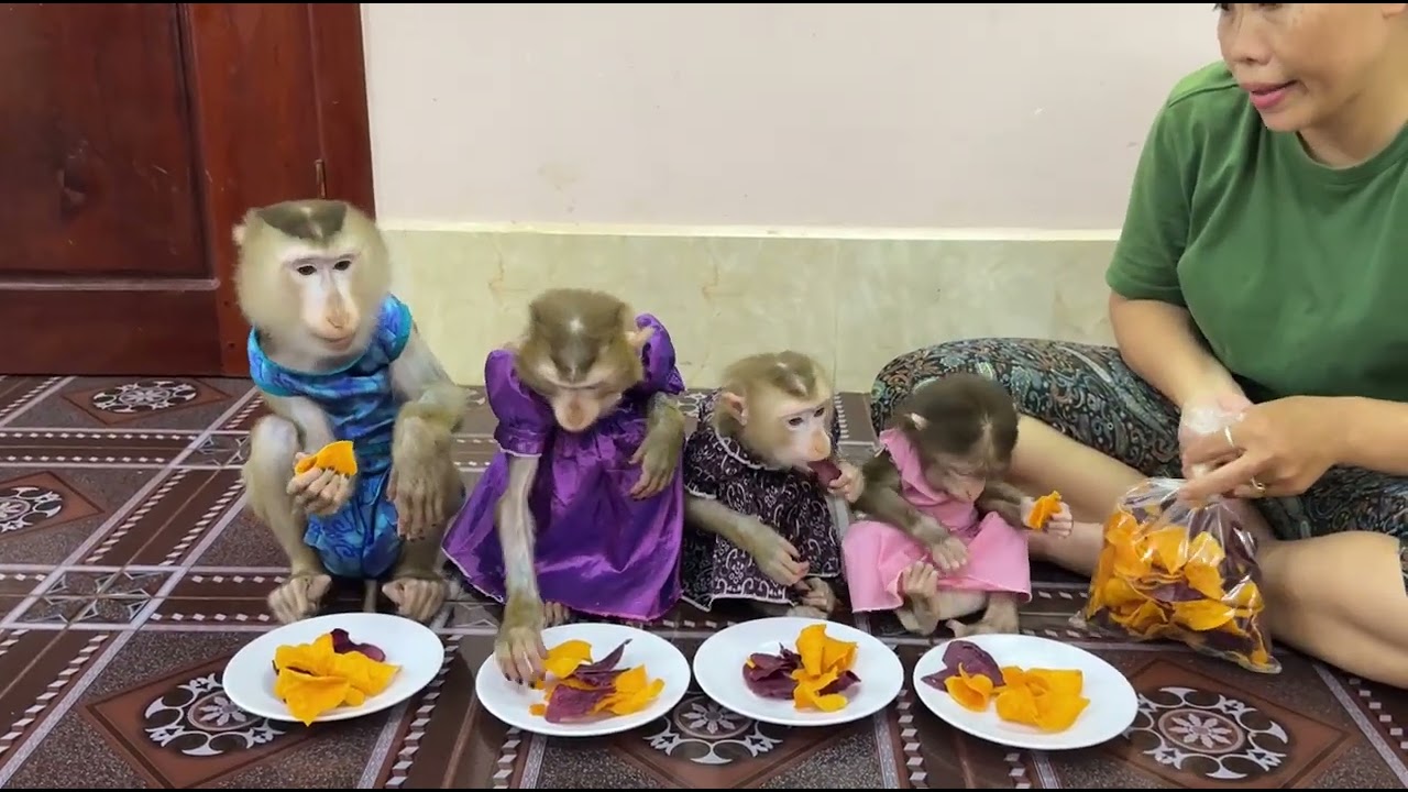 3 Sister & 1 Brother sit & eat fried potatoes very tasty & crispy .