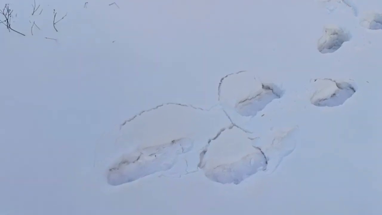 Яка сьогодні погода.