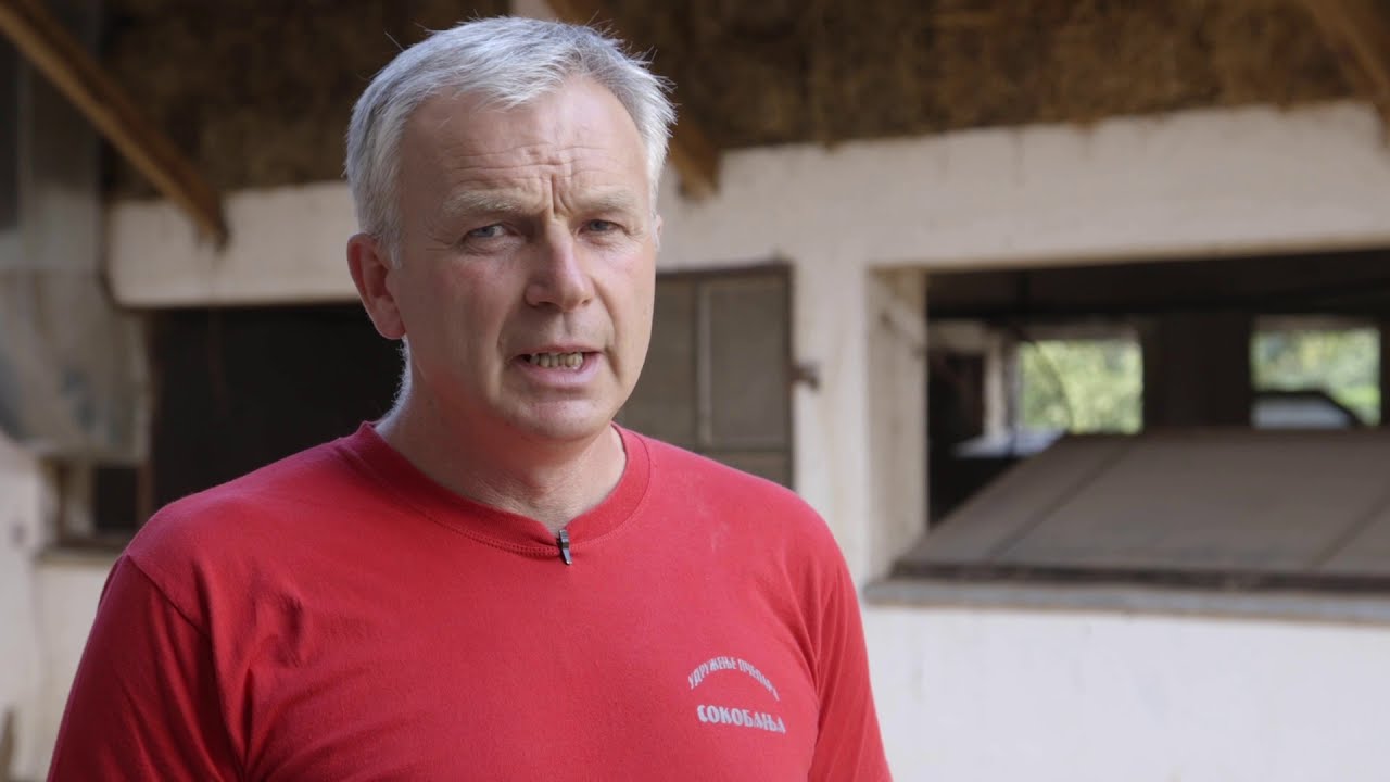 Uzgoj i farma svinja u selu Vrbovac - U nasem ataru 759