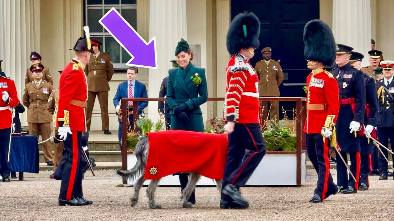 Adorable Moment Princess Catherine gives Irish Wolfhound his own special Shamrock ☘️