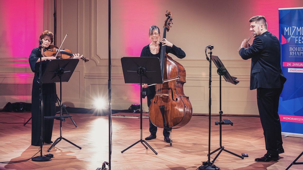 Schulhoff - Concertino for flute, viola and double bass