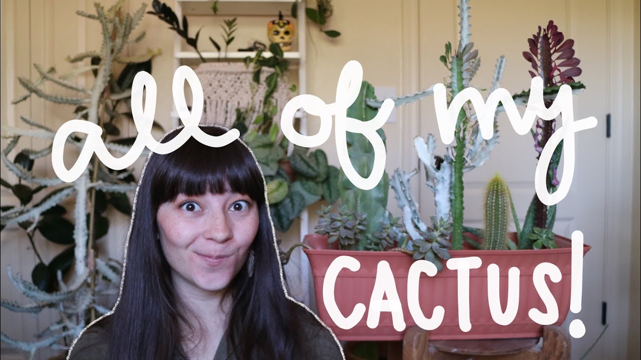 MY ENTIRE CACTUS COLLECTION | Cactus, Euphorbia, Jungle Cactus, & Succulents
