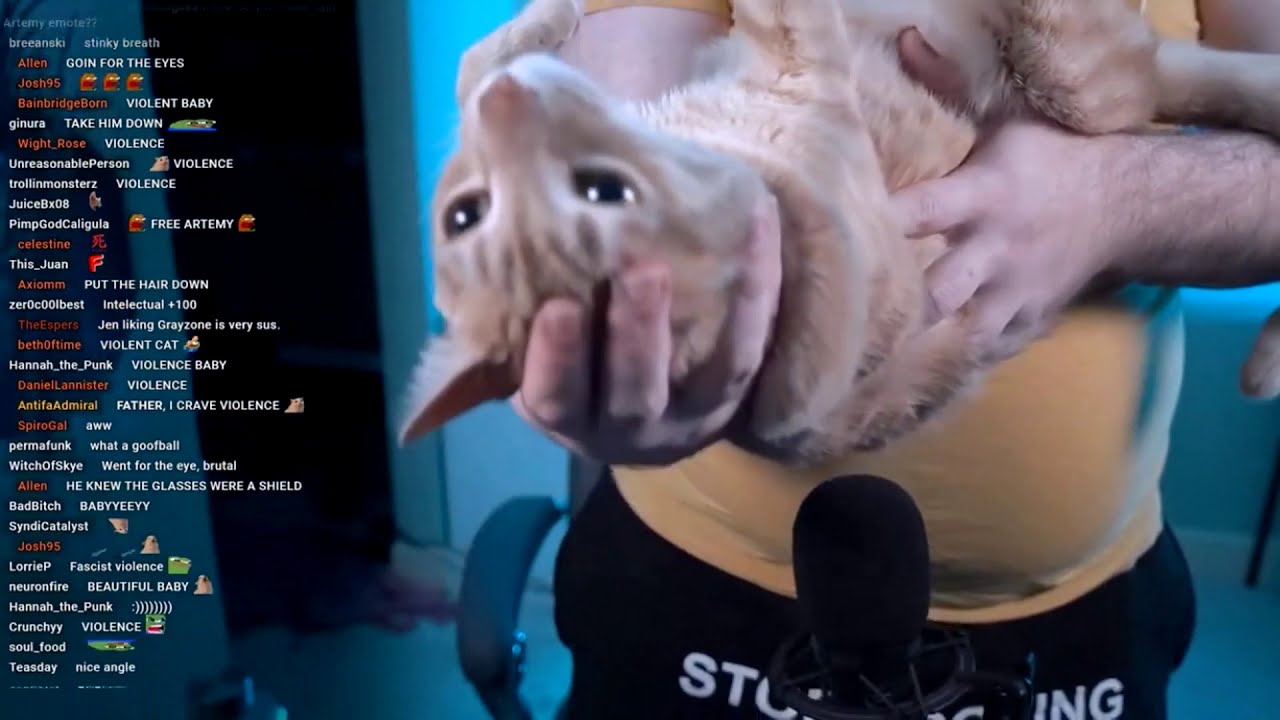 My Favorite Babey Moments Pt 1 | Vaush Stream Clips