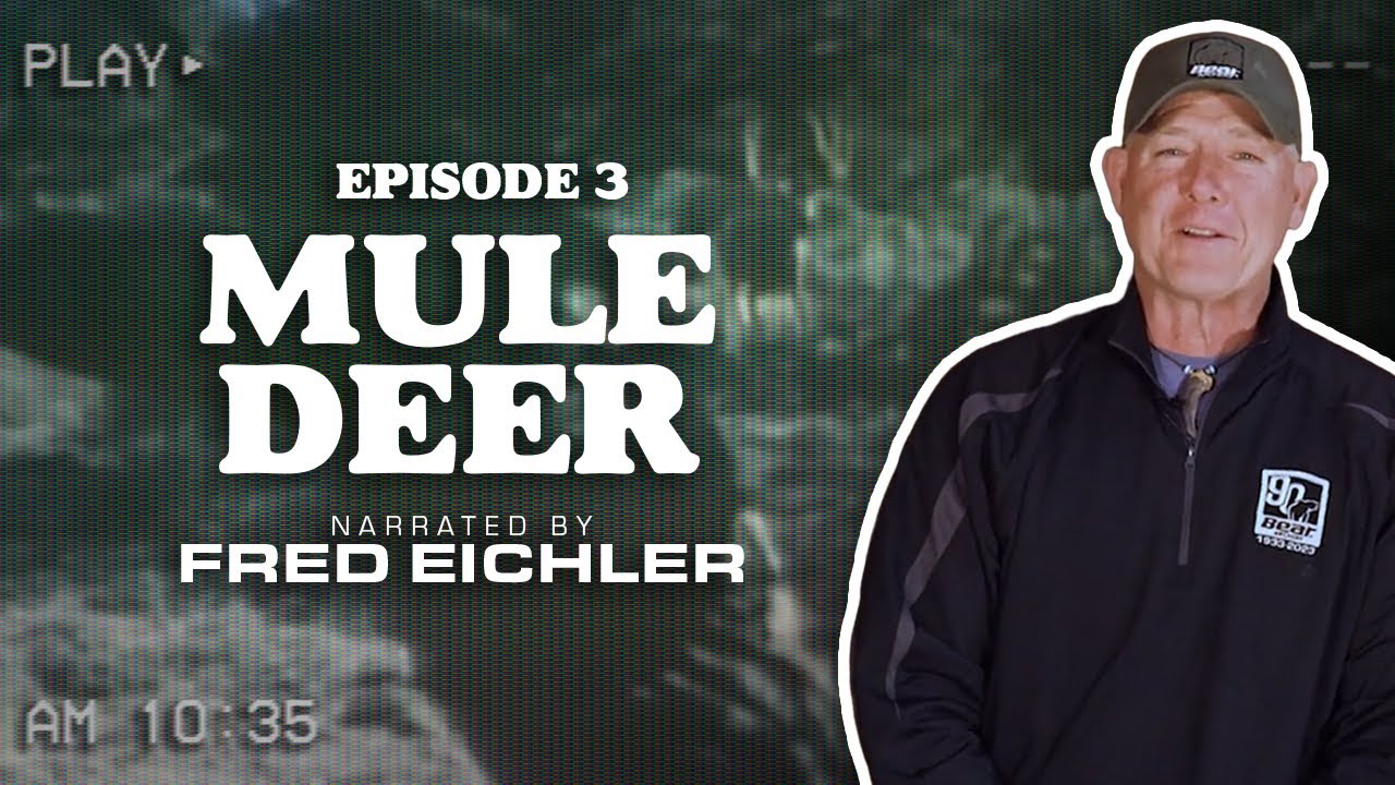 Mule Deer | Narrated by Fred Eichler