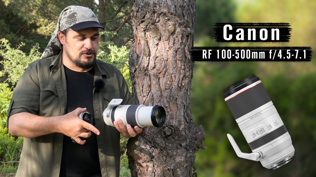 Canon RF 100-500mm L IS USM Objektif Testi | Kuş ve Yaban Hayat Fotoğrafçılığı