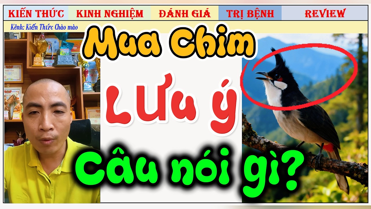 Những câu nói cần lưu ý khi Tuyển Chim, nghe để đề phòng