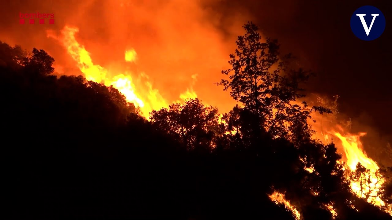 Más de 500 hectáreas calcinadas en el incendio de Artesa de Segre