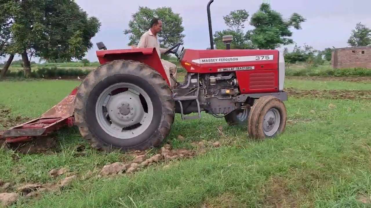 Ghuman zari farm Gujrat #masseyferguson #agricultural #motivation #asmr #hindi #reels #keşfet #like