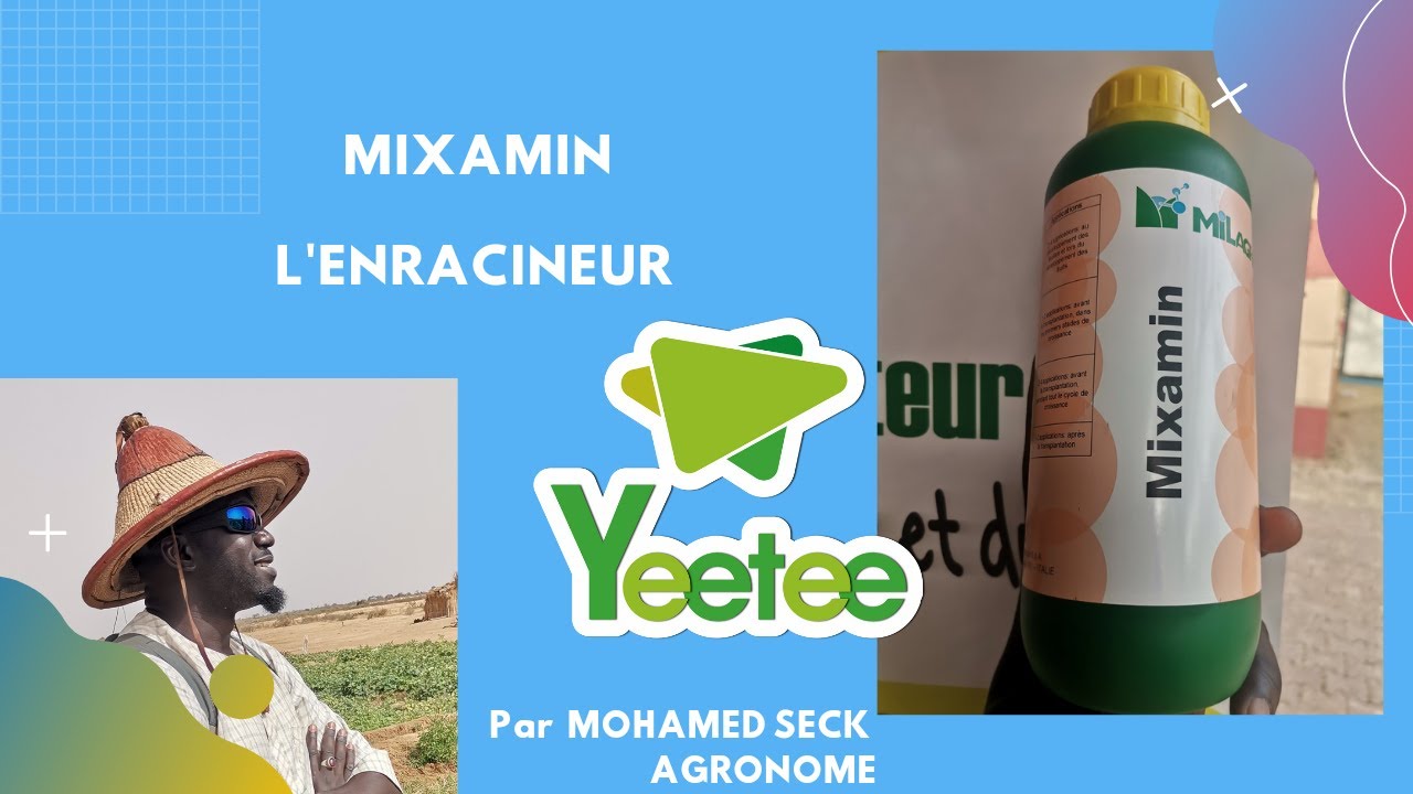 Yeetee l'enracineur Mixamin