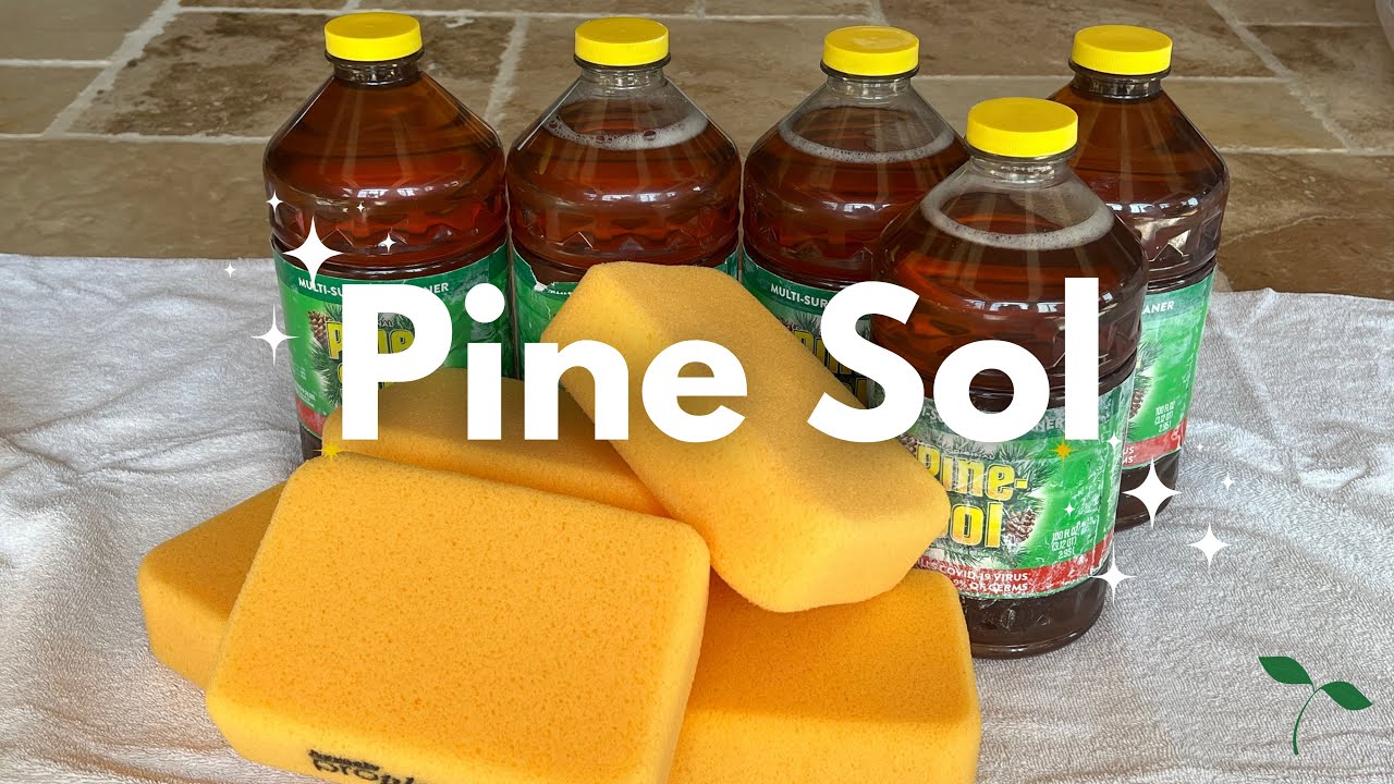 5 Gallons Pine Sol 🪴 (is it getting banned?)