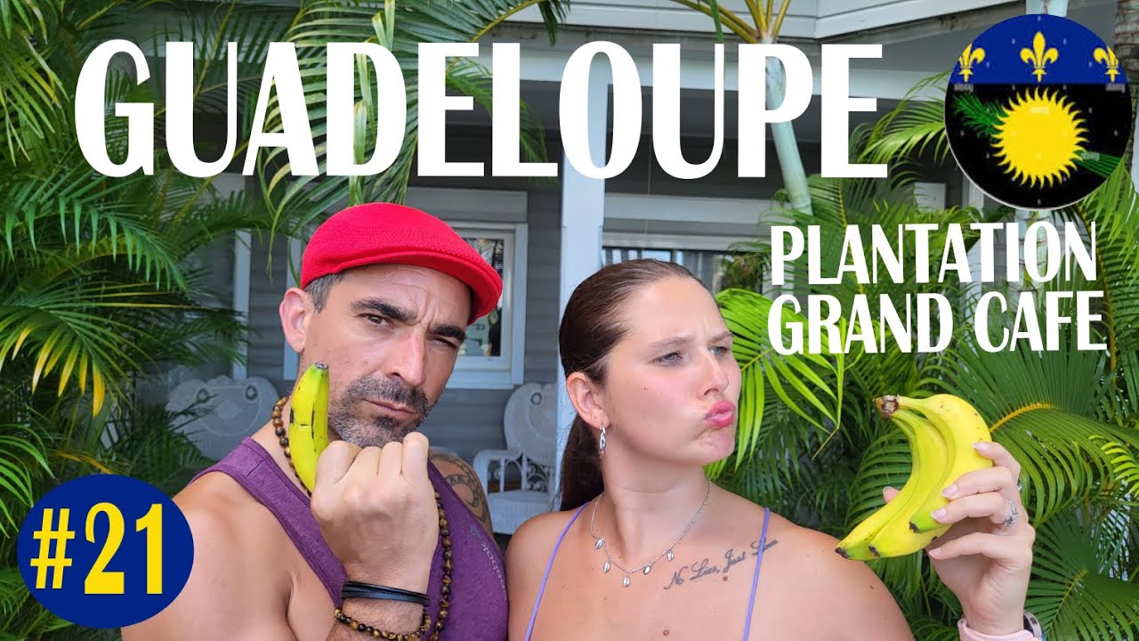 Immersion dans les bananeraies guadeloupéennes + Retour sur notre séjour inoubliable !