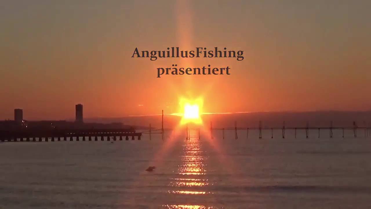 Angeln in Italien    |AnguillusFishing (~Livebisse~)