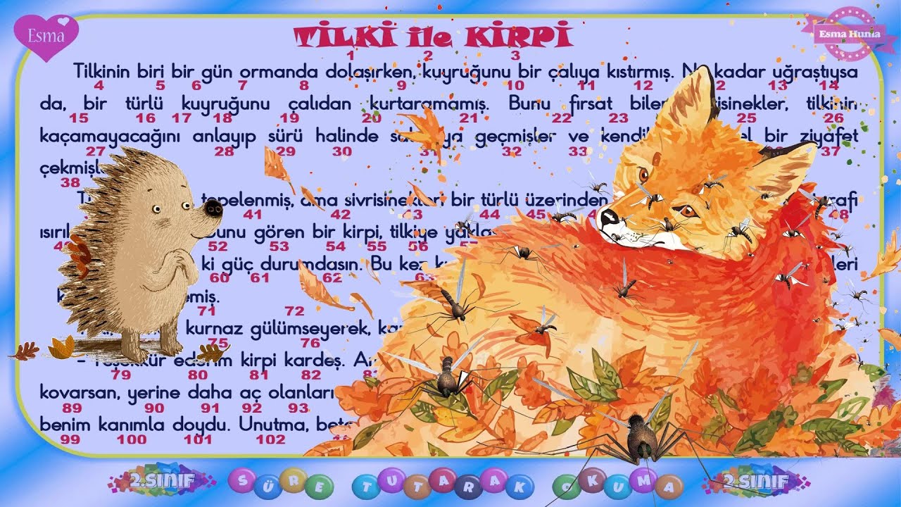 2.Sınıf Dakika Tutarak Okuma Metni -7 / Tilki ile Kirpi Metni / Hızlı Okuma Metni / 103 Kelime /