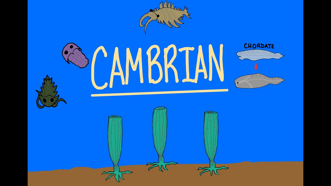 Ep 6: Cambrian Period