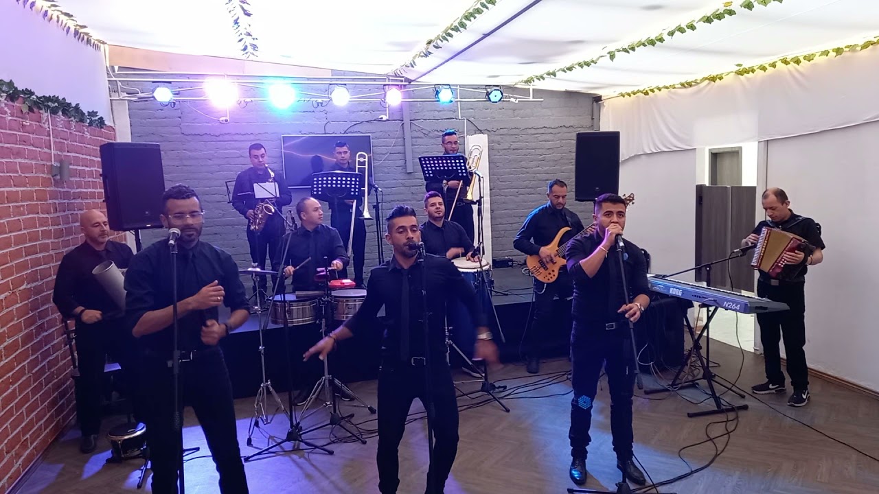 yo te pintar&eacute;. la banda plena.