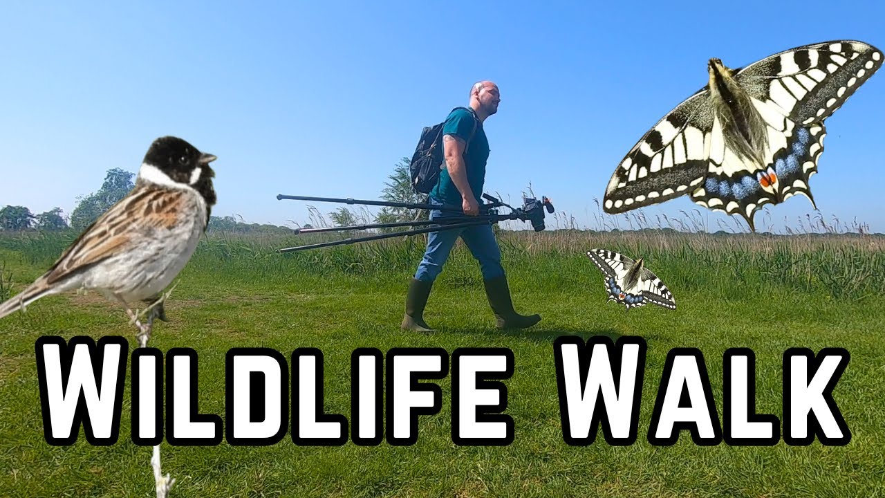 A Wonderful Wetland Wildlife Walk!