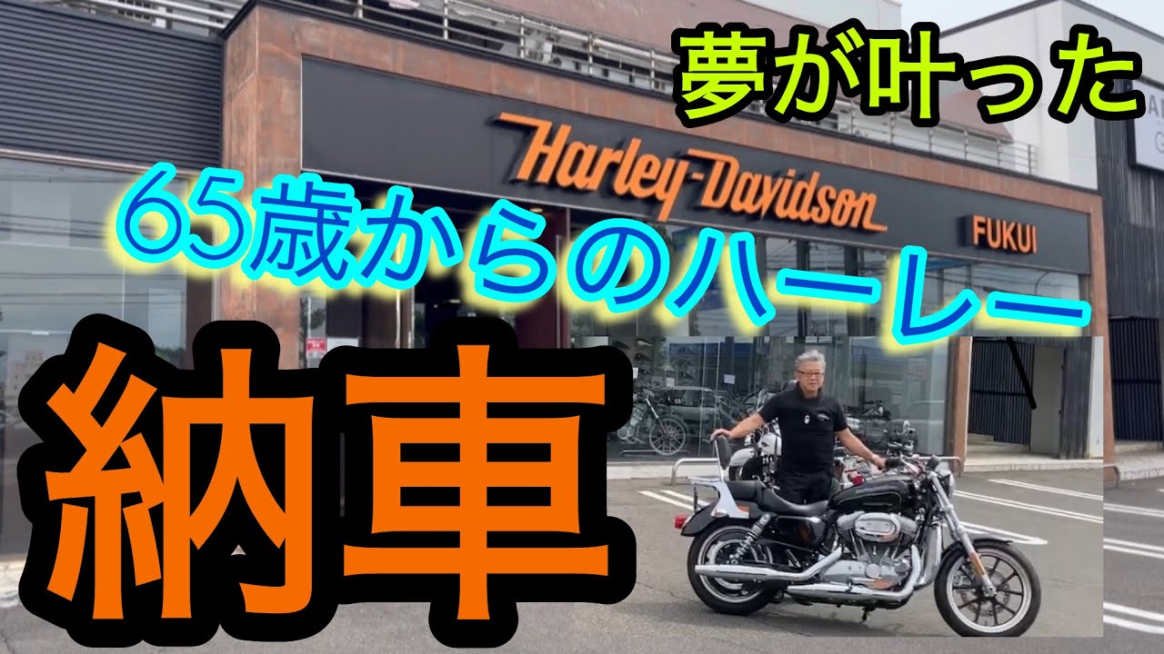 【65歳でハーレー買ったどー！】35年間 思い続けた夢が叶う #harleydavidson #sportster #xl883l #ハーレー