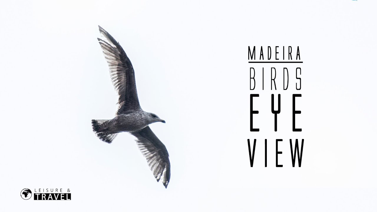 Madeira - Birds Eye View - Vogelperspektive - Best of Dronedeira - DJI Phantom 4