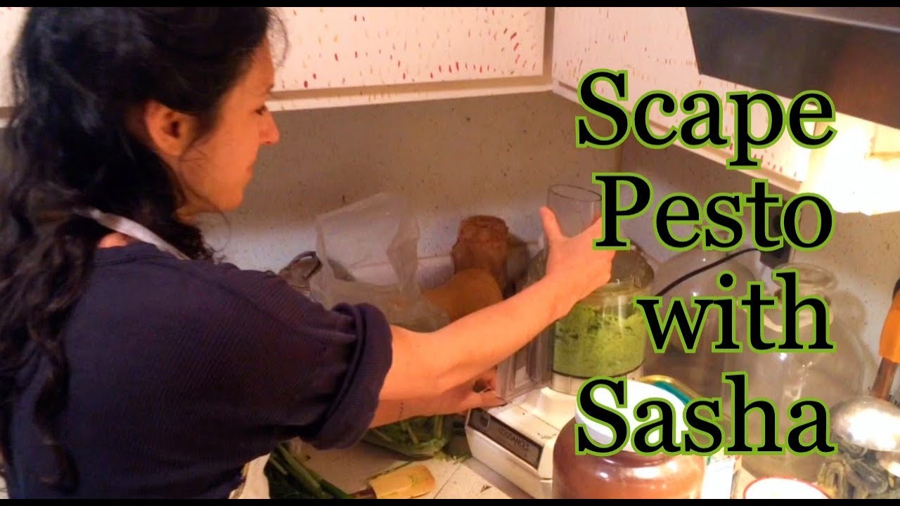 Scape Pesto with Sasha