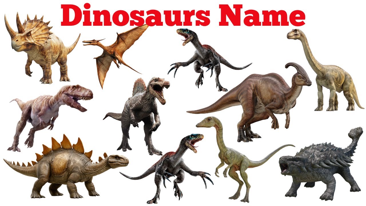 Dinosaurs Name | All Dinosaurs Name with Pictures | Dinosaurs for Kids