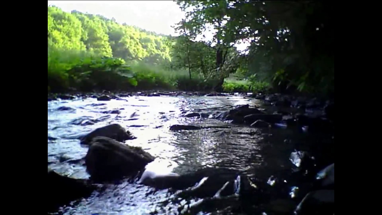 Eifgental: Relaxing Nature Ambience (HQ Audio)