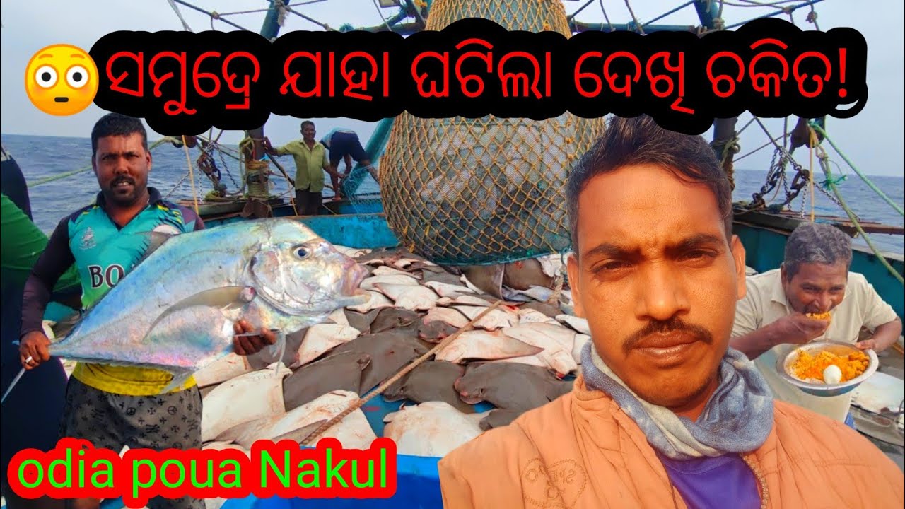 Fishing video//odisha fishing videos//ସମୁଦ୍ର ମଧିଅେର କେତେ  ମାଛ ଧରିଲୁ @odiapouanakul