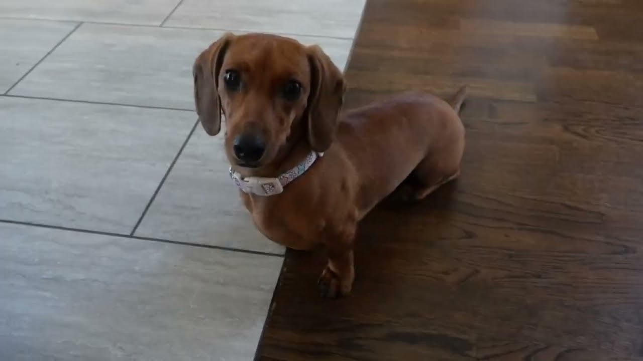 Going For A Walk
