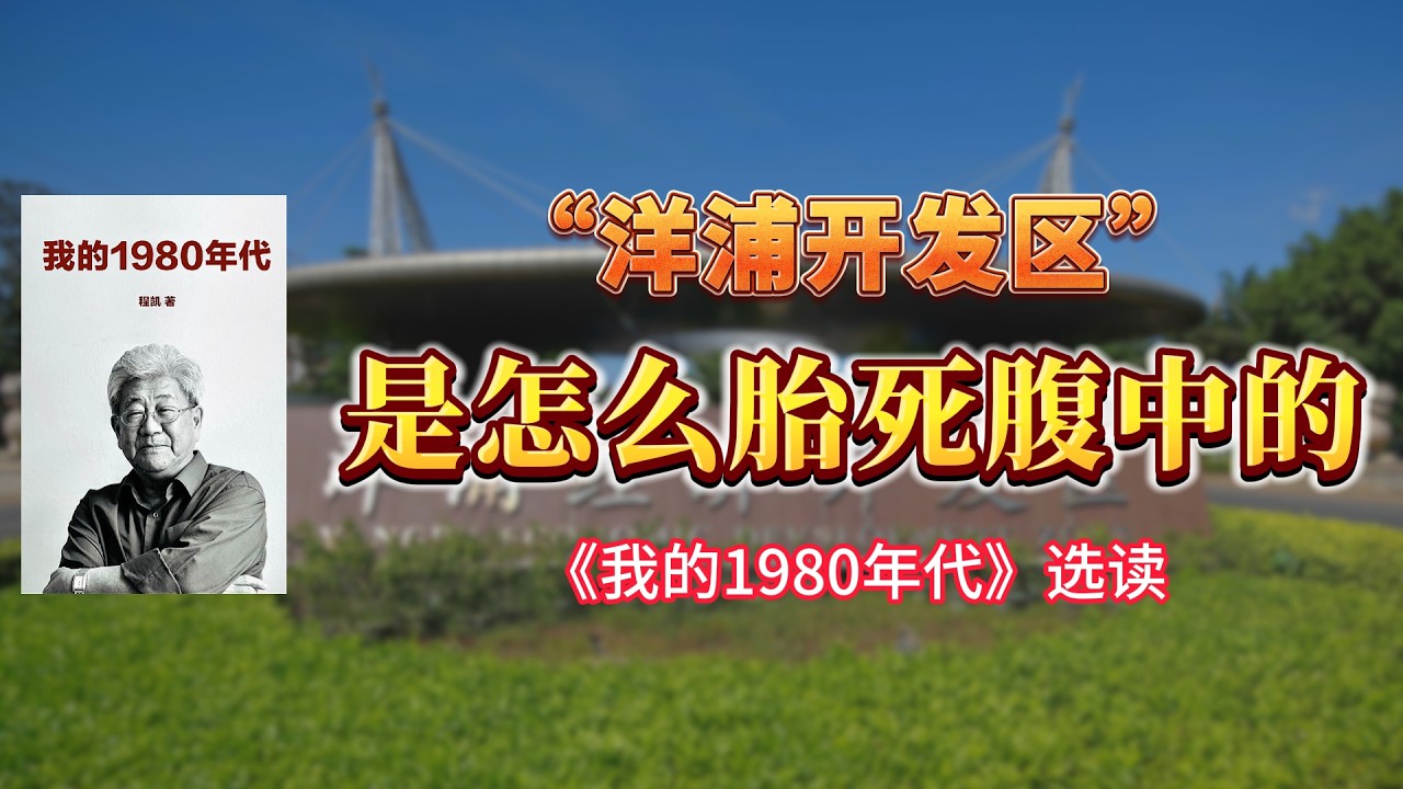 “洋浦开发区”是怎么胎死腹中的 -【连日来读书】《我的1980年代》选读