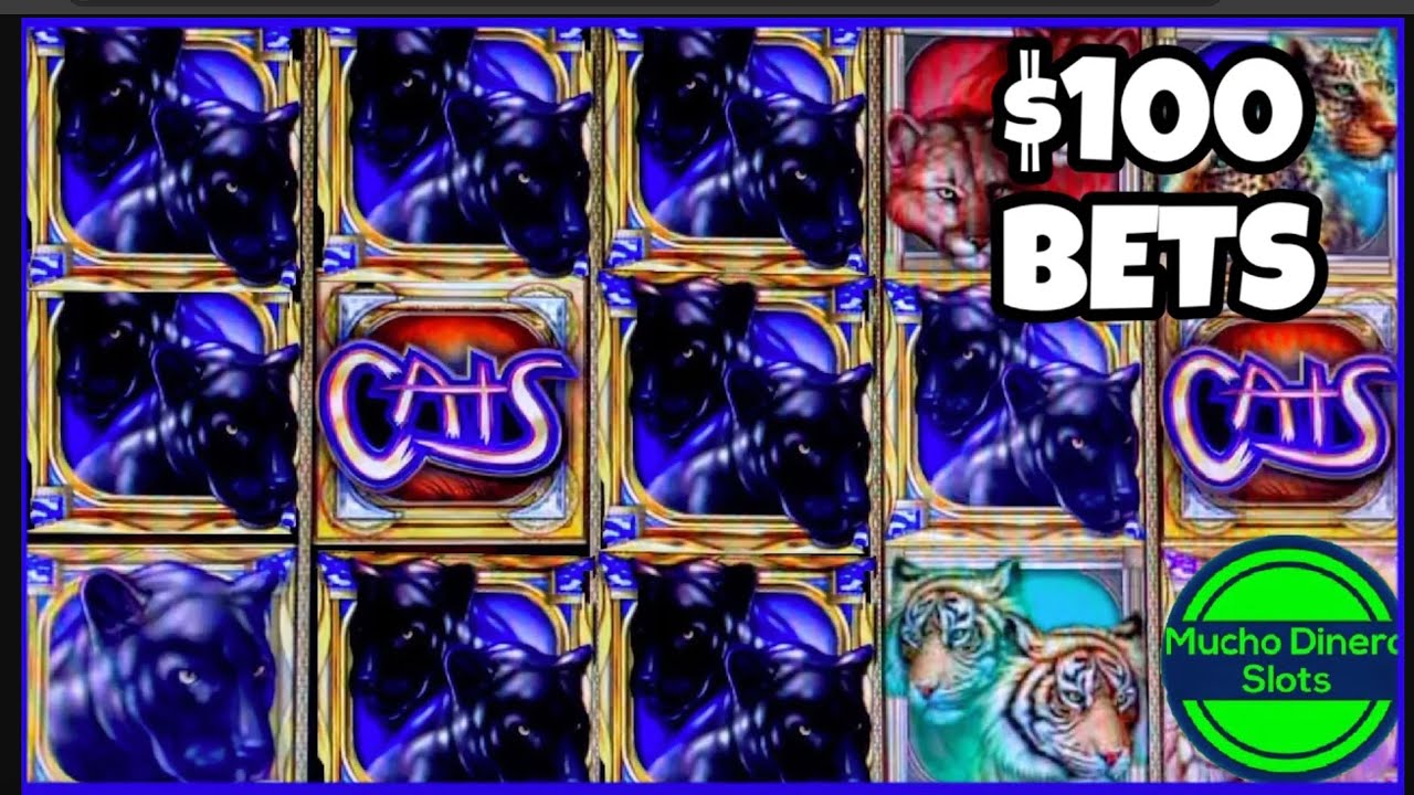 HIGH LIMIT CATS $300 BETS - RARE BETS