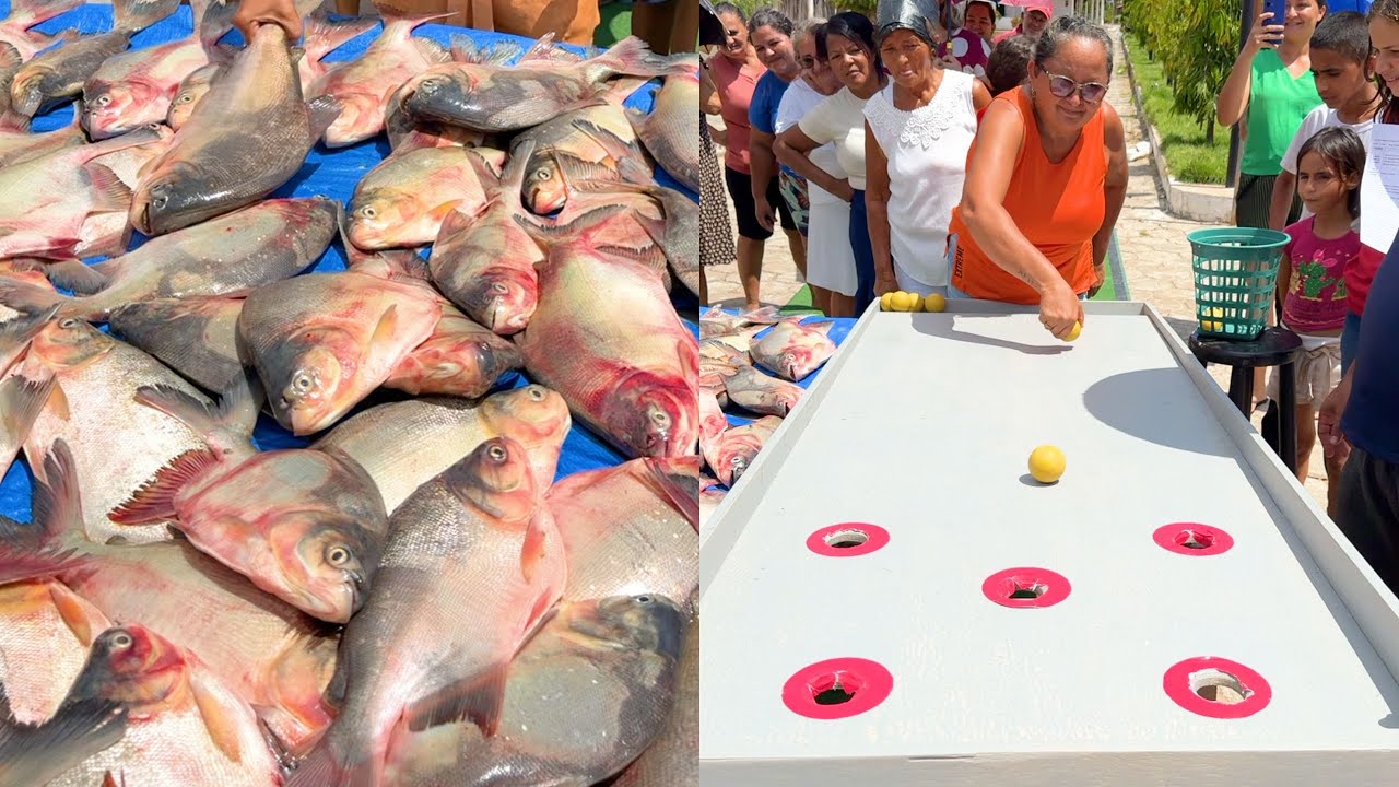 Fizemos o Tabuleiro mais Fácil para DOAR Peixe!