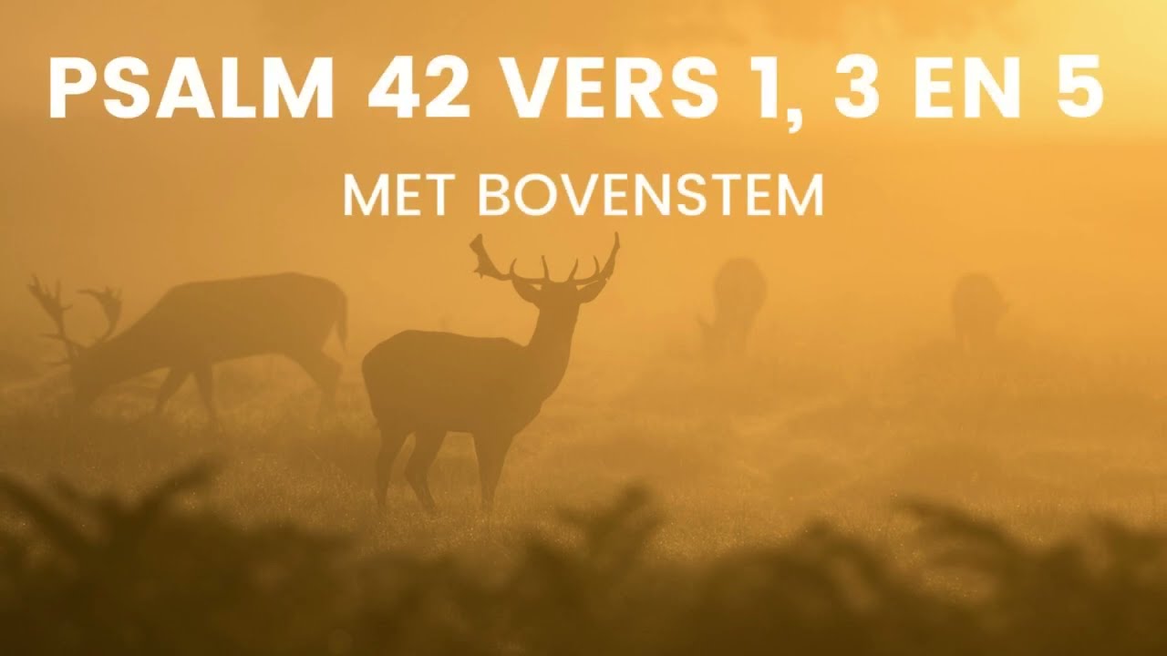 Psalm 42 vers 1, 3 en 5 met bovenstem - Maar de Heer' zal uitkomst geven