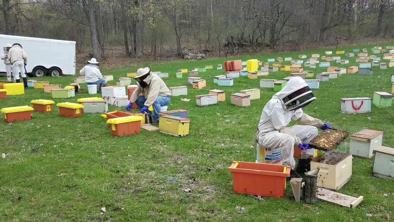 Behind the Scenes at Betterbee: Unloading Nucs