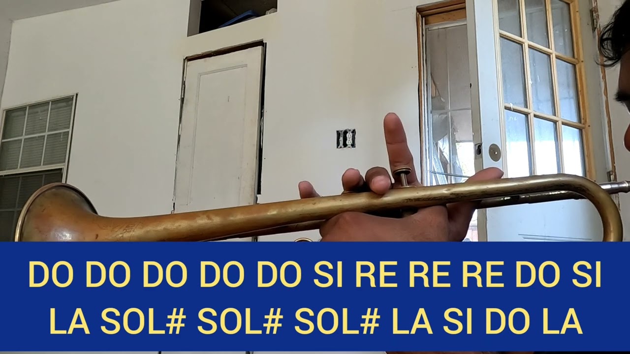 Como no te voy a querer Trompeta