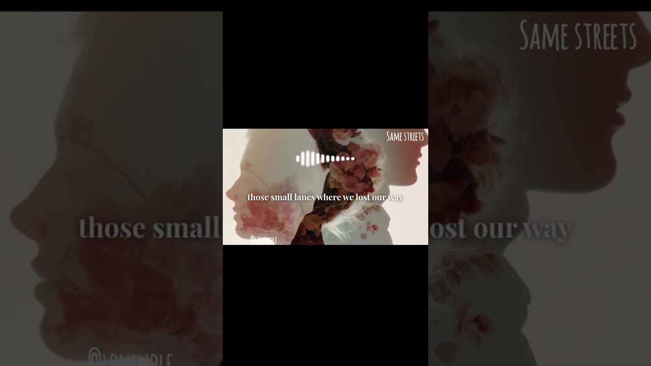 Same streets by @lonewolf-57 @shawnmendes #viral #top10 