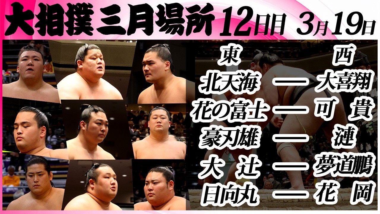 大相撲　幕下上位五番(花岡、夢道鵬、嵐富士など)＜令和８年三月場所・１２日目＞SUMO