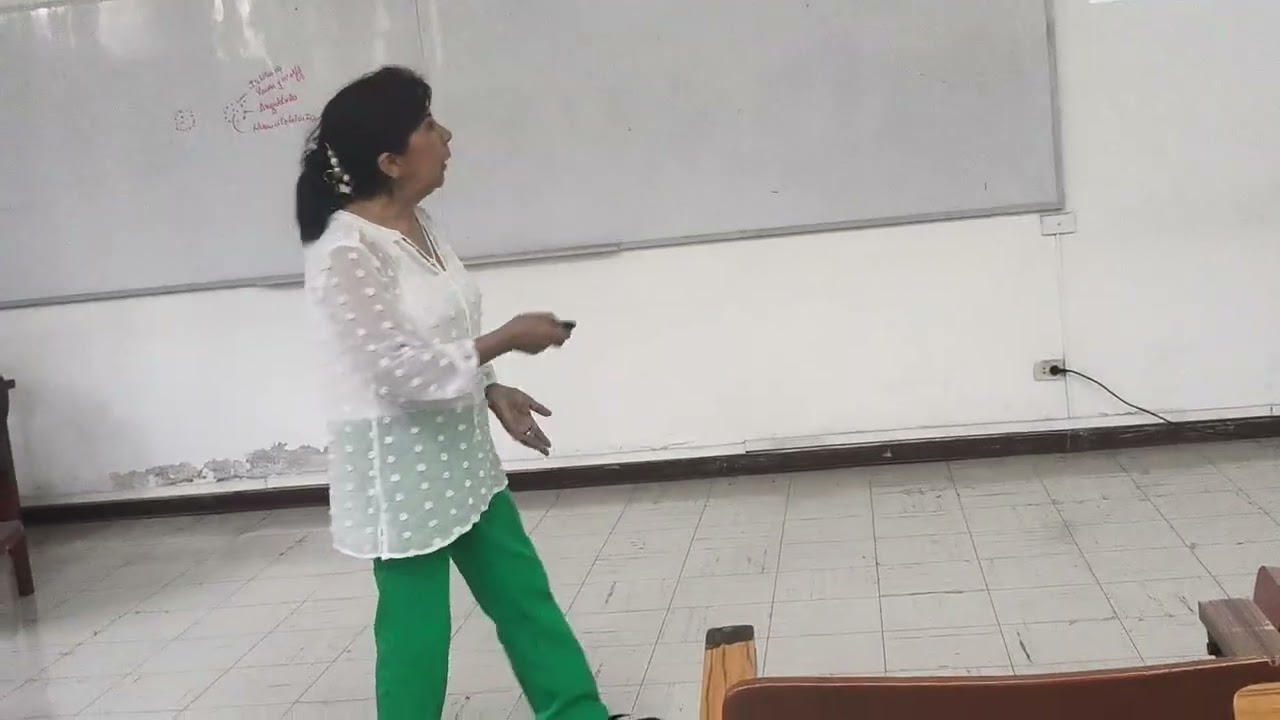 Teoría cardiovascular, Vilma 
