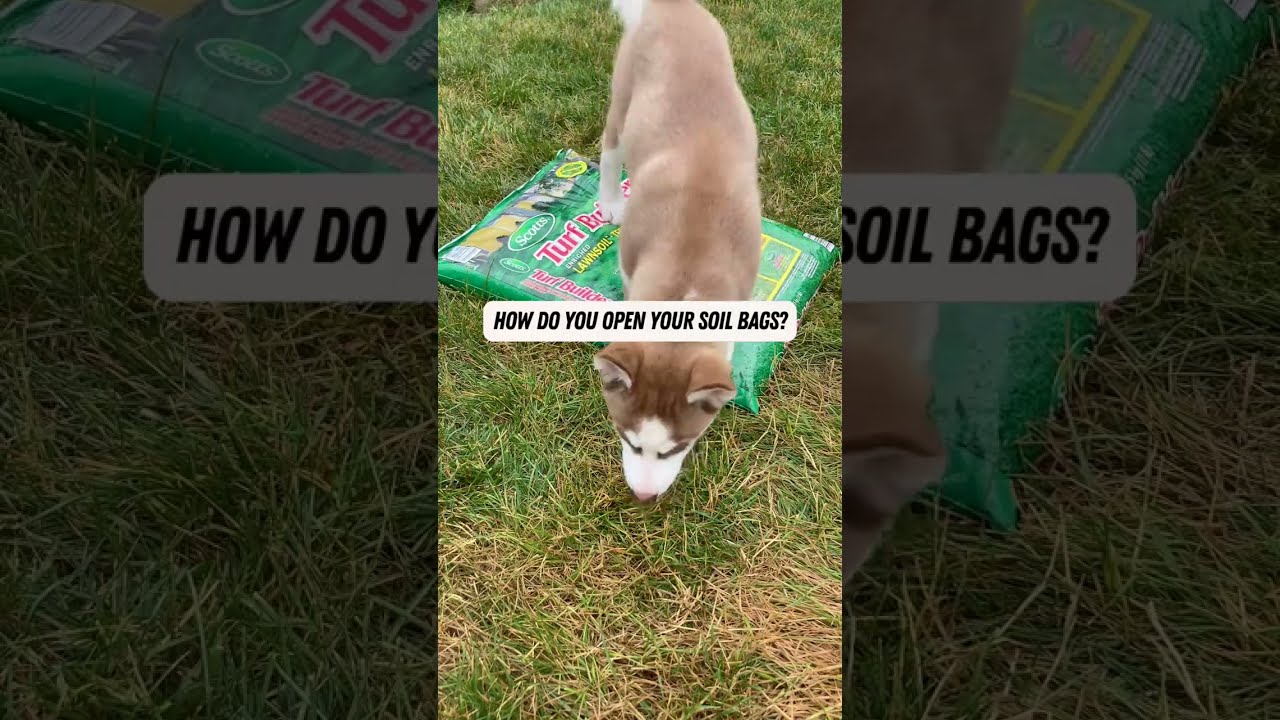 4 Ways to Open Soil Bags | #shorts #garden #soil #tips #knife