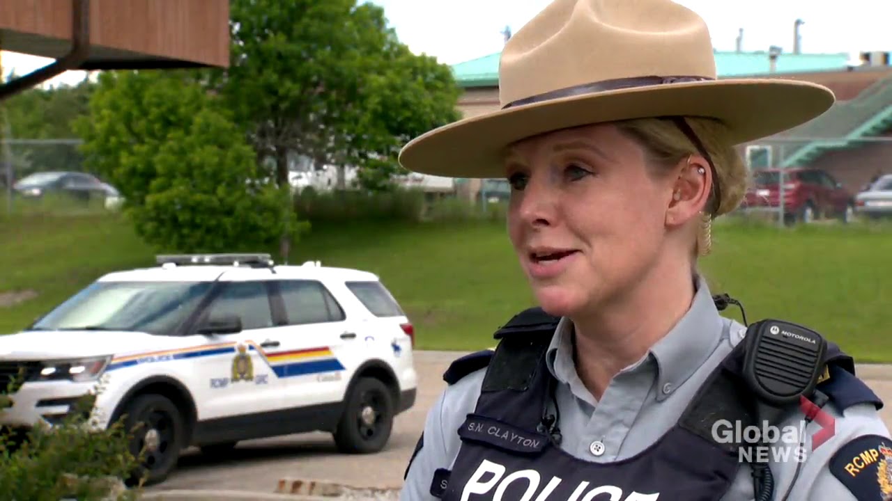 Bear shocks tourists after wandering into Canmore restaurant
