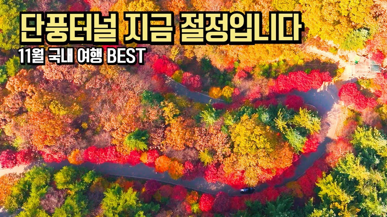 11월 국내 여행 추천 BEST 숨겨진 가을 명소 절정 단풍 #국내여행 #여행추천