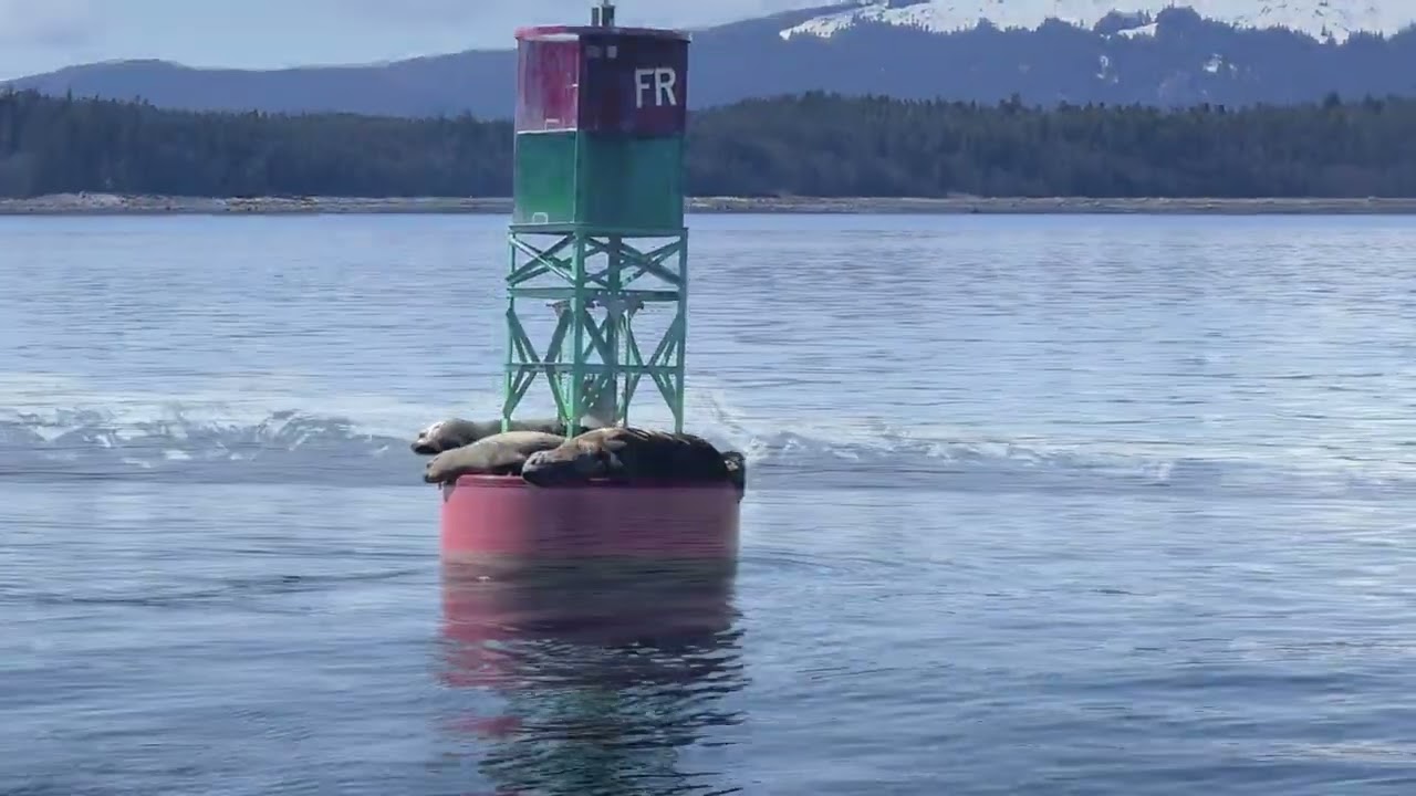 Korea Japan Alaska Vancouver 2024