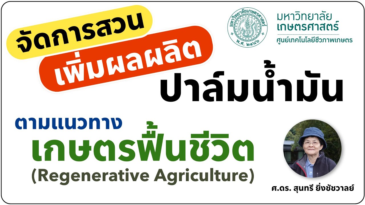 จัดการสวน เพิ่มผลผลิตปาล์มน้ำมัน ตามแนวทางเกษตรฟื้นชีวิต (Regenerative Agriculture)