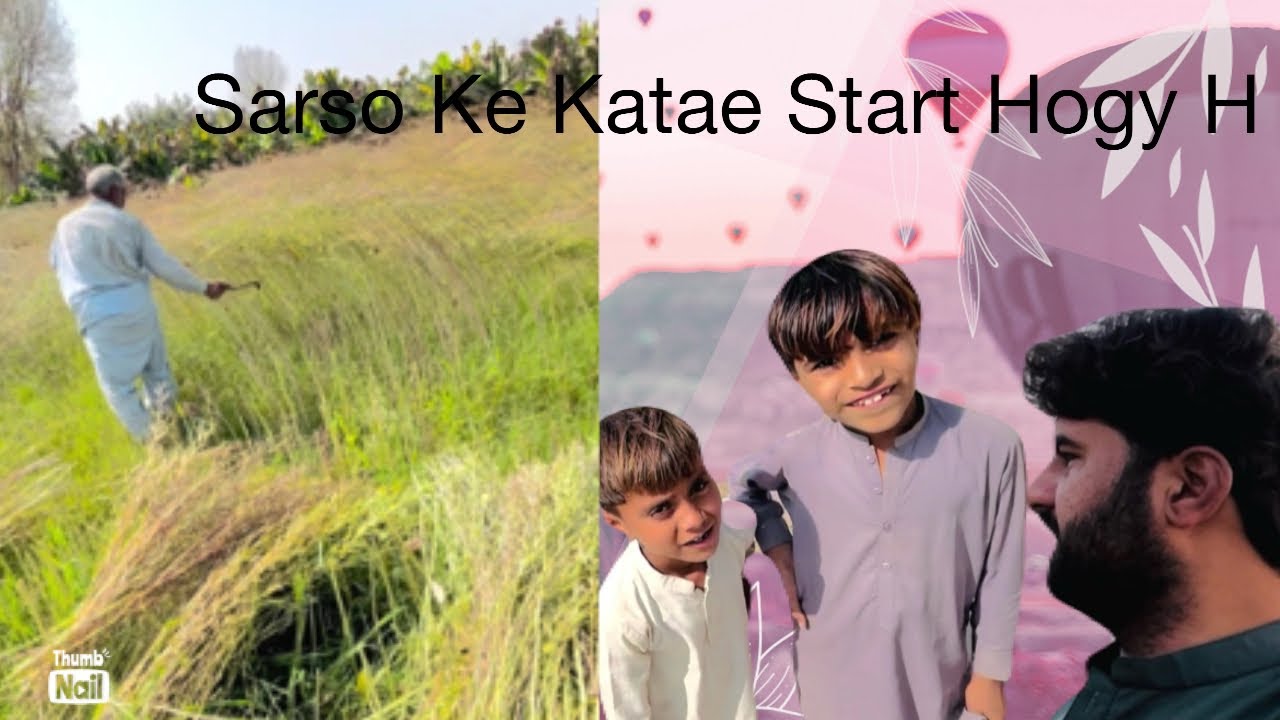 Desi vlog | Sarso ke Katae Start H